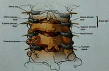 drMomenzadeh