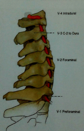 drMomenzadeh