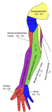 drMomenzadeh