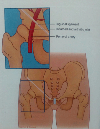 drMomenzadeh