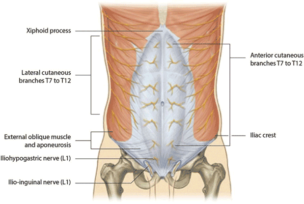 drMomenzadeh