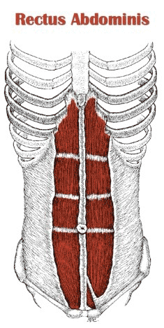 drMomenzadeh