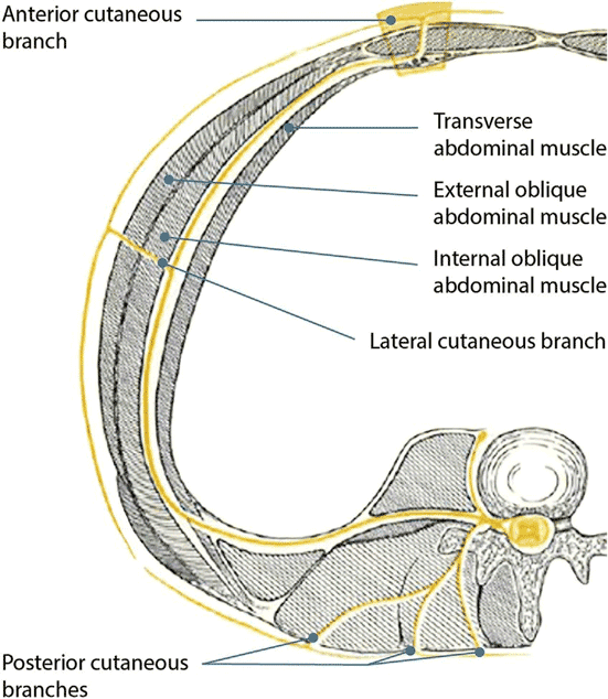 drMomenzadeh