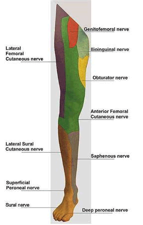 drCyrusMomenzadeh