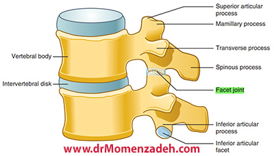 drCyrusMomenzadeh, کمردرد, درد کمر, گردن درد, درد گردن, درد ستون فقرات, پا درد, درد پا, دردشناسی, لیزر درمانی, لیزرتراپی, استخوان درد, کلینیک درد, بهترین کلینیک درد در تهران, بهترین دکتر دیسک کمر, کلینیک درد غرب تهران, کلینیک درد دولتی, کلینیک درد در جنوب تهران, کلینیک درد تهران, کلینیک درد فوق تخصصی, خدمات کلینیک درد, دکتر مومن زاده, فوق تخصص درد