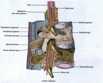 drCyrusMomenzadeh