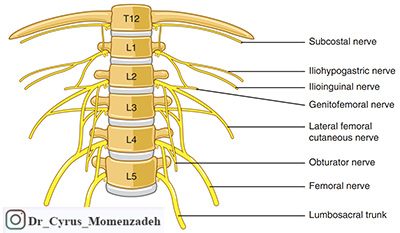 drCyrusMomenzadeh, کمردرد, درد کمر, گردن درد, درد گردن, درد ستون فقرات, پا درد, درد پا, دردشناسی, لیزر درمانی, لیزرتراپی, استخوان درد, کلینیک درد, بهترین کلینیک درد در تهران, بهترین دکتر دیسک کمر, کلینیک درد غرب تهران, کلینیک درد دولتی, کلینیک درد در جنوب تهران, کلینیک درد تهران, کلینیک درد فوق تخصصی, خدمات کلینیک درد, دکتر مومن زاده, فوق تخصص درد