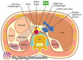 drCyrusMomenzadeh, کلینیک درد, بهترین کلینیک درد در تهران, بهترین دکتر دیسک کمر, کلینیک درد غرب تهران, کلینیک درد دولتی, کلینیک درد در جنوب تهران, کلینیک درد تهران, کلینیک درد فوق تخصصی, خدمات کلینیک درد, دکتر مومن زاده فوق تخصص