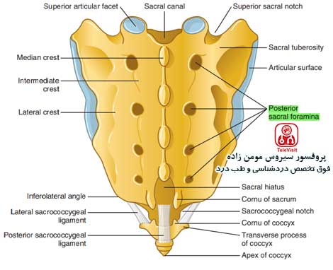 drCyrusMomenzadeh