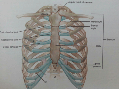 drCyrusMomenzadeh