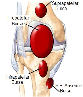 drCyrusMomenzadeh