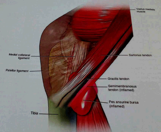 دکتر سیروس مومن زاده