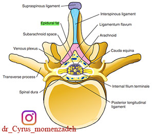 drCyrusMomenzadeh