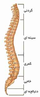 drCyrusMomenzadeh