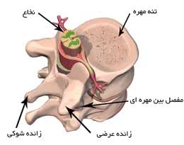 drCyrusMomenzadeh