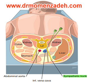 drCyrusMomenzadeh