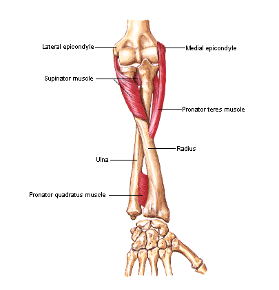 drCyrusMomenzadeh