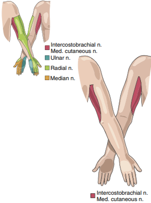 drCyrusMomenzadeh