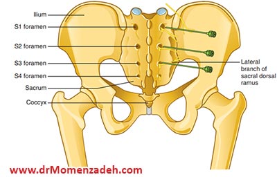 drCyrusMomenzadeh