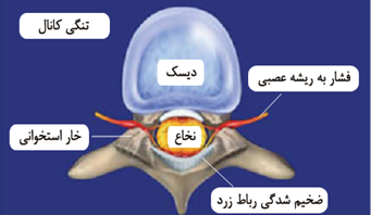 drCyrusMomenzadeh