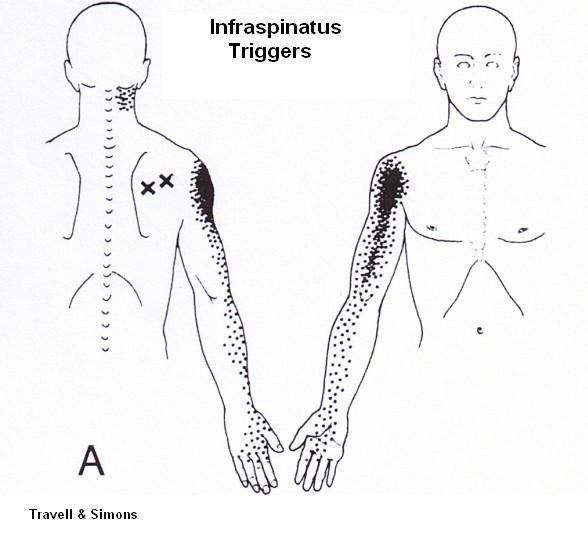 drCyrusMomenzadeh