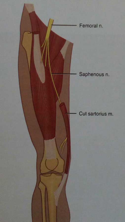 drCyrusMomenzadeh